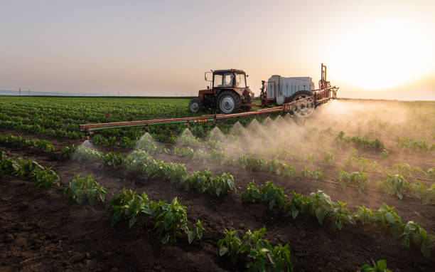 Best Pest Prevention Services  in Granger, IA