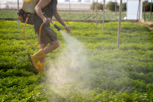Best Pest Control for Restaurants  in Granger, IA