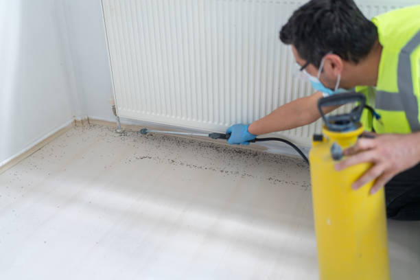 Best Mosquito Control Services  in Granger, IA