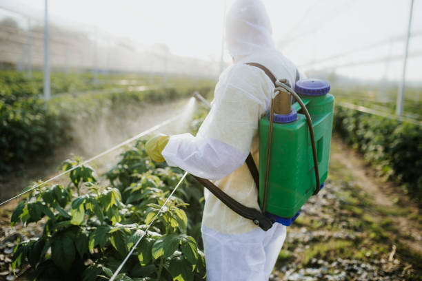 Trusted Granger, IA Pest Control Experts
